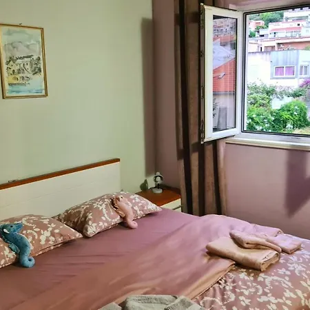 Navita Apartment